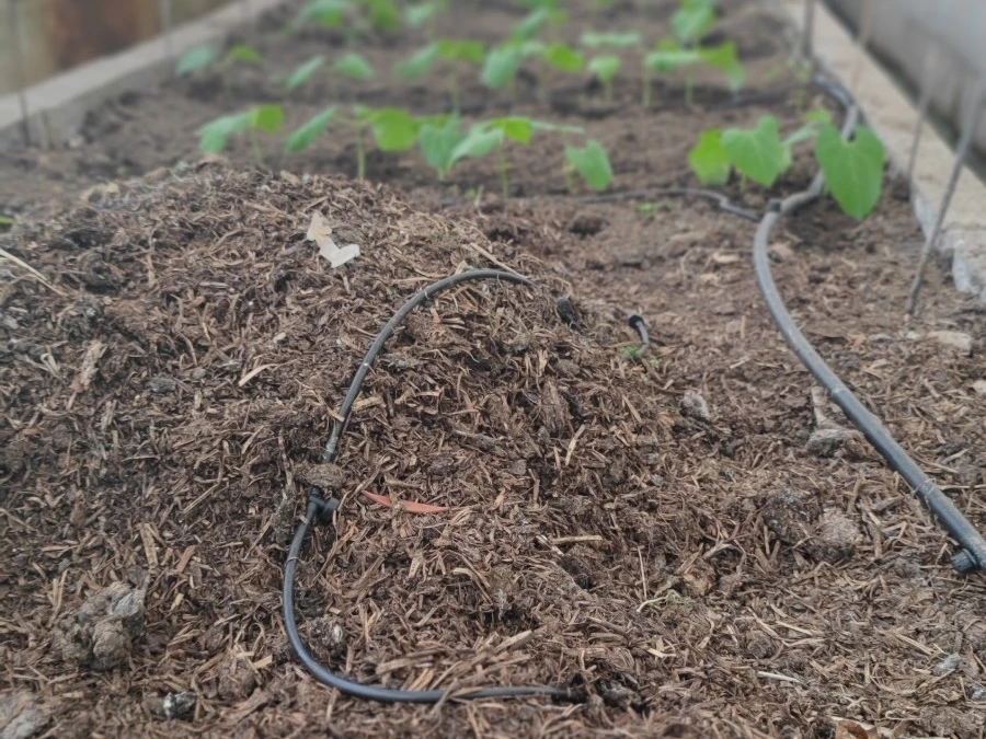 New additions to the farm mushroom compost and verminproof compost
