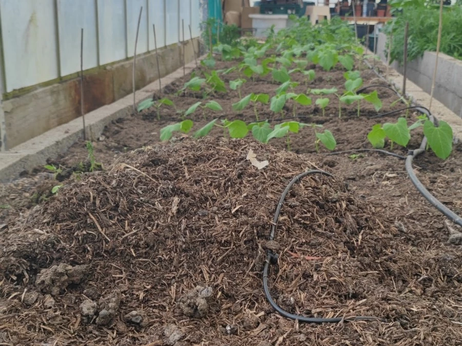 New additions to the farm mushroom compost and verminproof compost