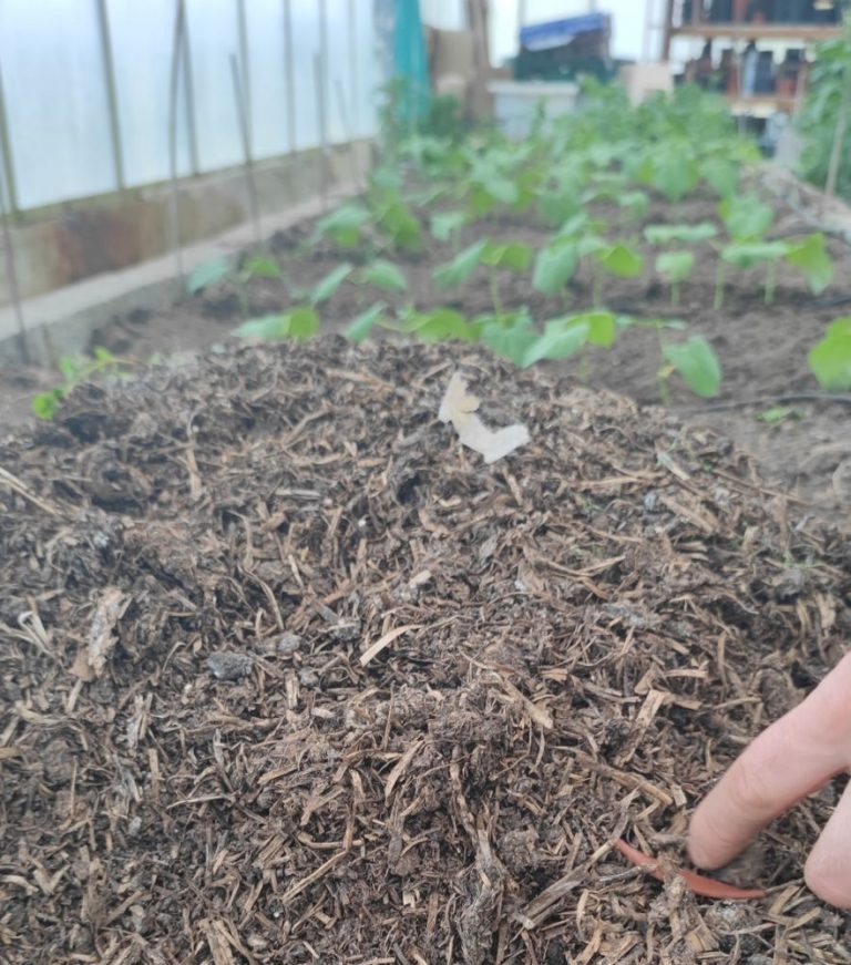 New additions to the farm mushroom compost and verminproof compost